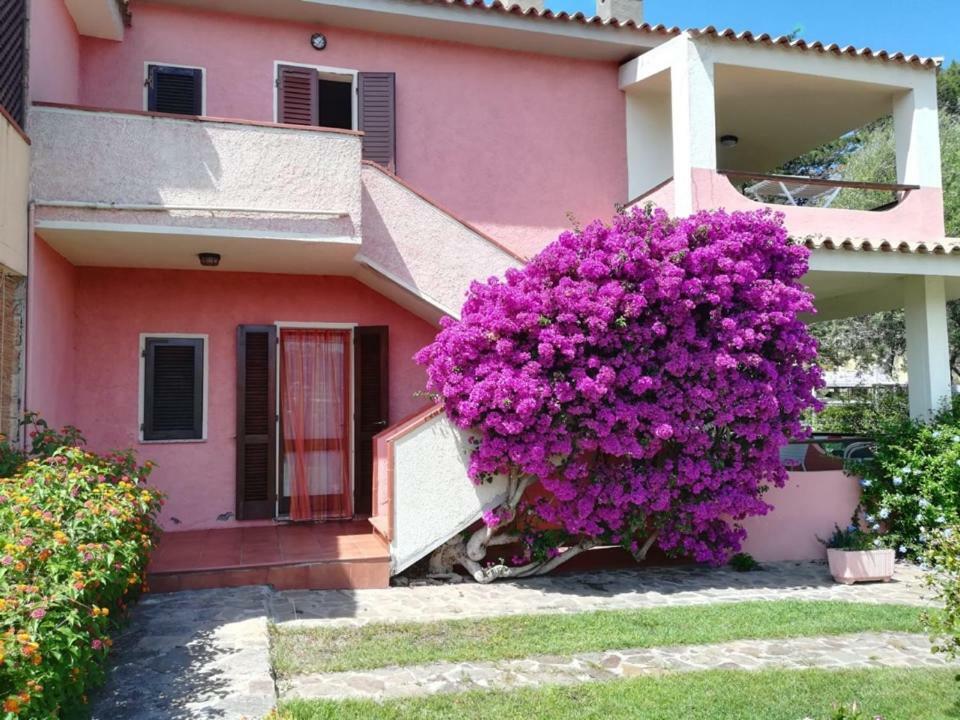 Casa Smeralda Cannigione Exteriör bild